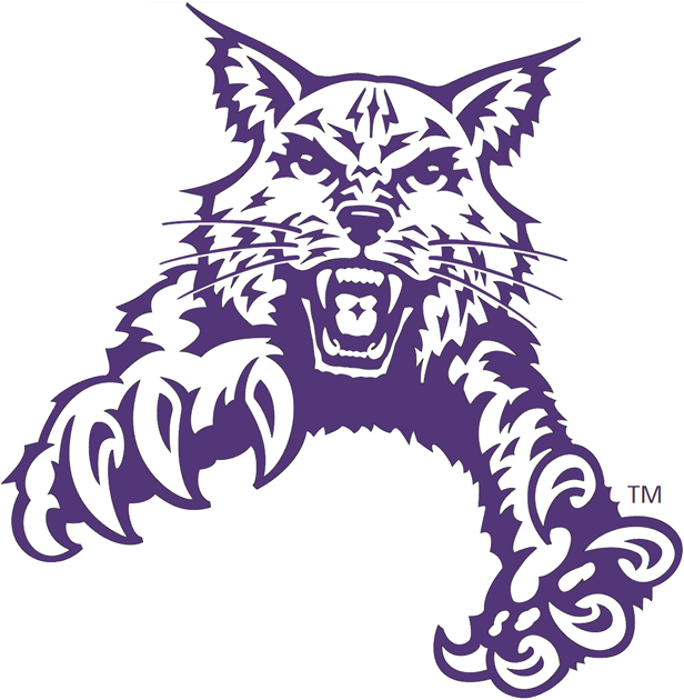 Abilene Christian Wildcats 1997-2012 Partial Logo 02 vinyl decal